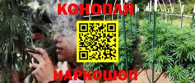 прущие грибы Гай