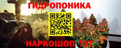 дурь Гатчина