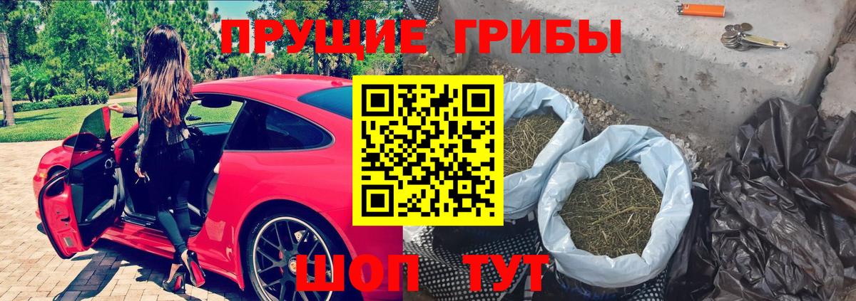 Дюртюли  Галлюциногенные грибы прущие грибы  Галлюциногенные грибы Psilocybe  Вход с VPN 